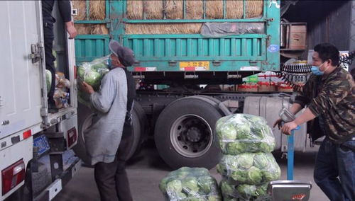 實拍 疫情防控下的晉城,這些人仍在街頭...